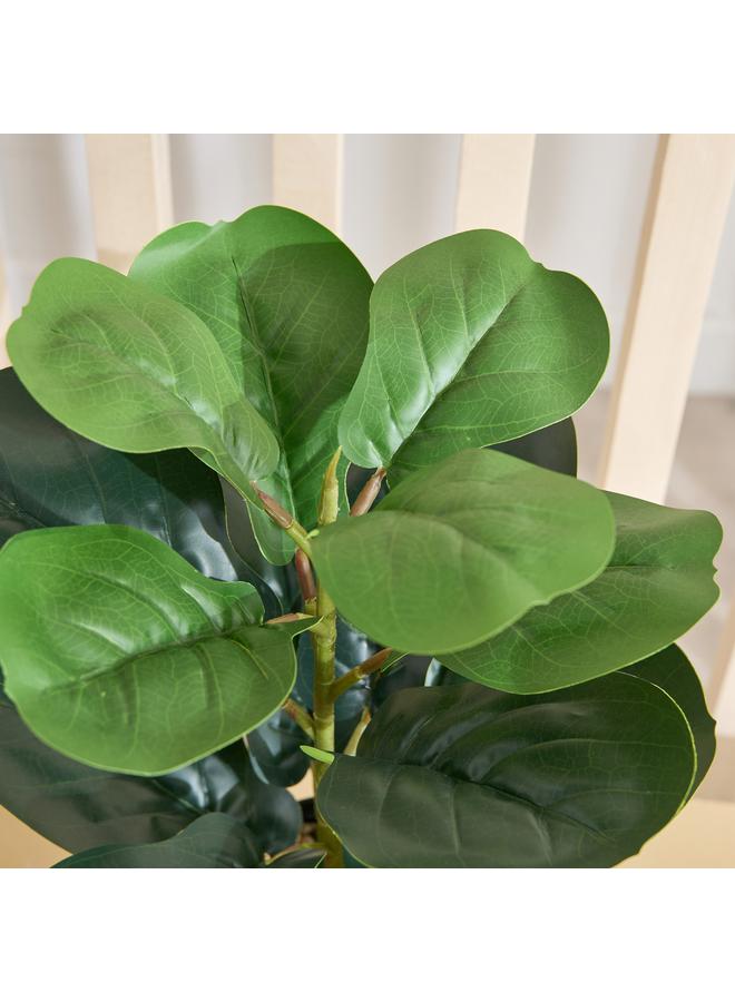 هوم بوكس نبات سيلو فيدل ليف في وعاء - 14×14×51 سم - Image 2