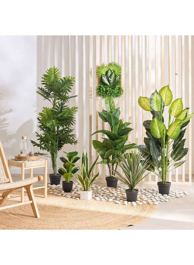 هوم بوكس نبات سيلو فيدل ليف في وعاء - 14×14×51 سم - Image 4