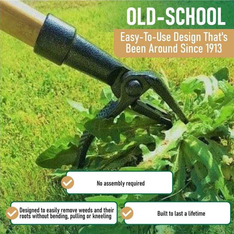 Grampa's Weeder - The Original Stand Up Weed Puller Tool with Long Handle - Made with Real Bamboo & 4-Claw Steel Head Design - Easily Remove Weeds Without Bending, Pulling, or Kneeling. - Image 3
