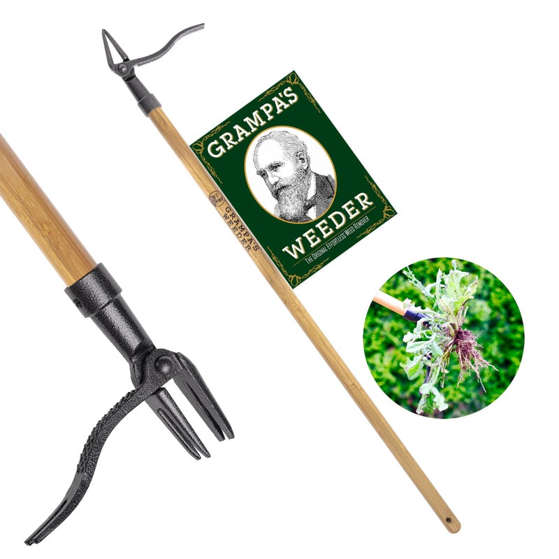 Grampa's Weeder - The Original Stand Up Weed Puller Tool with Long Handle - Made with Real Bamboo & 4-Claw Steel Head Design - Easily Remove Weeds Without Bending, Pulling, or Kneeling. - Image 1