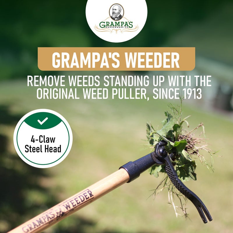 Grampa's Weeder - The Original Stand Up Weed Puller Tool with Long Handle - Made with Real Bamboo & 4-Claw Steel Head Design - Easily Remove Weeds Without Bending, Pulling, or Kneeling. - Image 2
