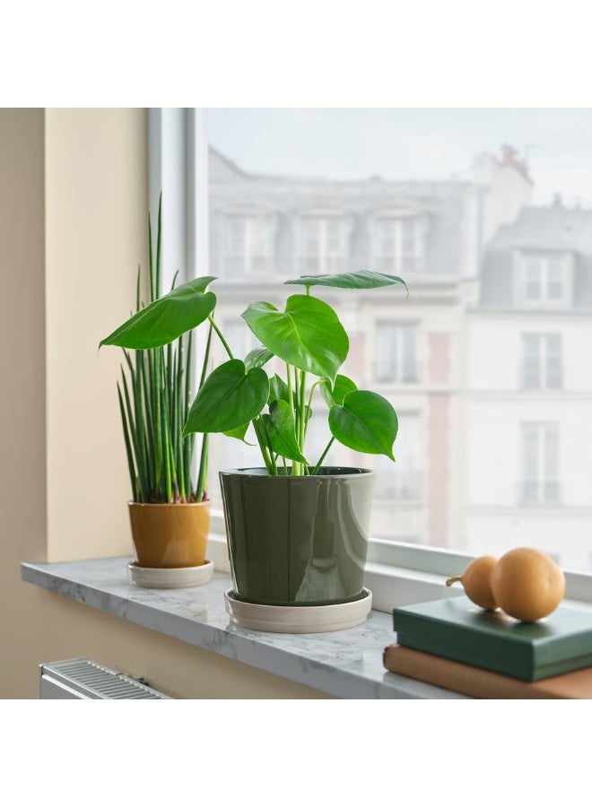 Dark Grey-Green & Light Beige Plant Pot with Saucer – Indoor & Outdoor Decorative Flower Pot, Durable and Stylish, 15 cm Diameter - Image 3