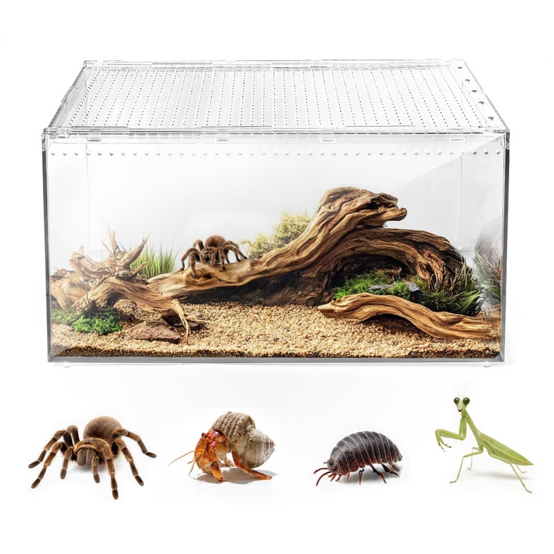 AZV Escape Proof Reptile Terrarium,Shatter Proof Polycarbonate Tarantula Tank with Magnetic Lid,Ventilated Spider Enclosure,360Â° Clear View,Easy Clean Habitat for Gecko,Frogs,Insects,Hermit Crabs S - Image 1