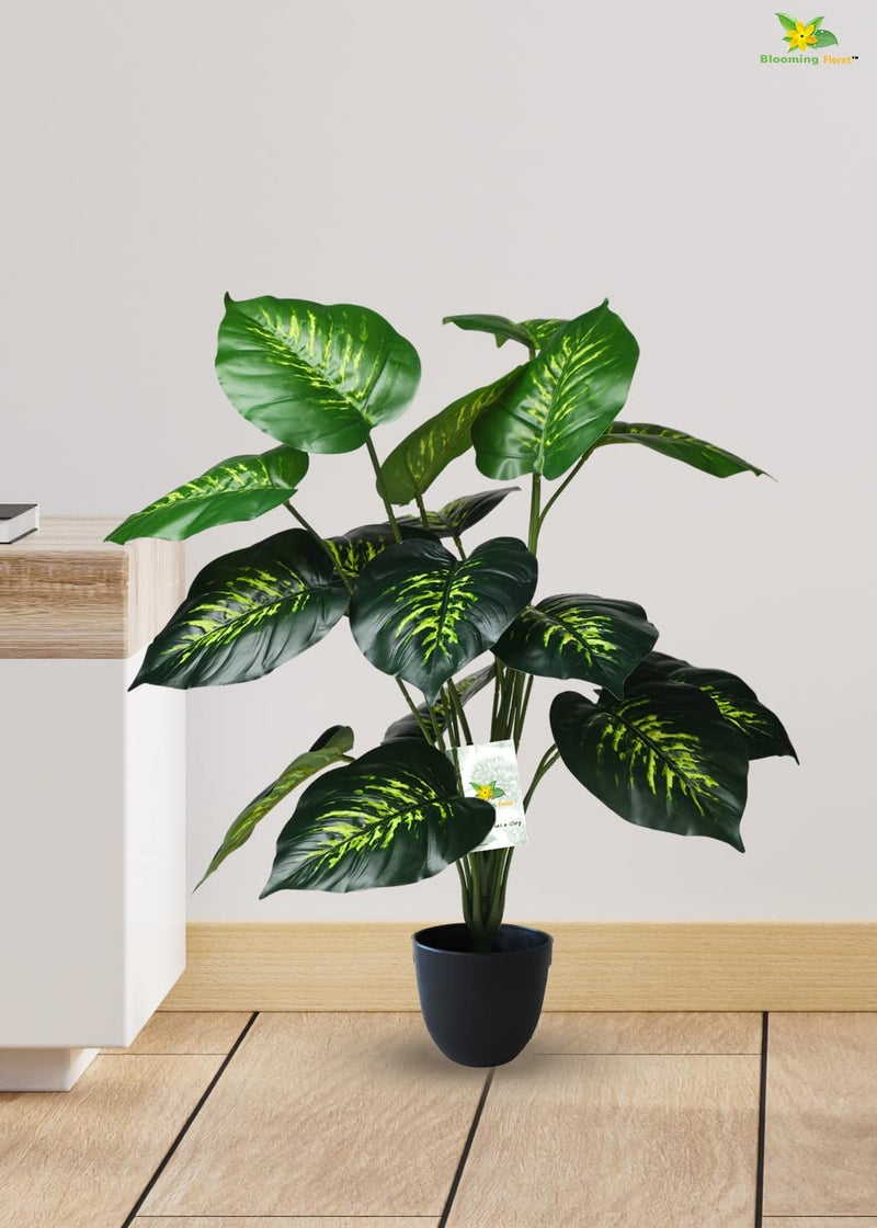 Blooming Floret Artificial Philodendron Plant with Basic Black Pot | 18 Green & Yellow Leaves | Big Ornamental Plant for Interior Decor/Home Decor/Office Decor | 63.5 cm Tall Natural Looking Plant - Image 4