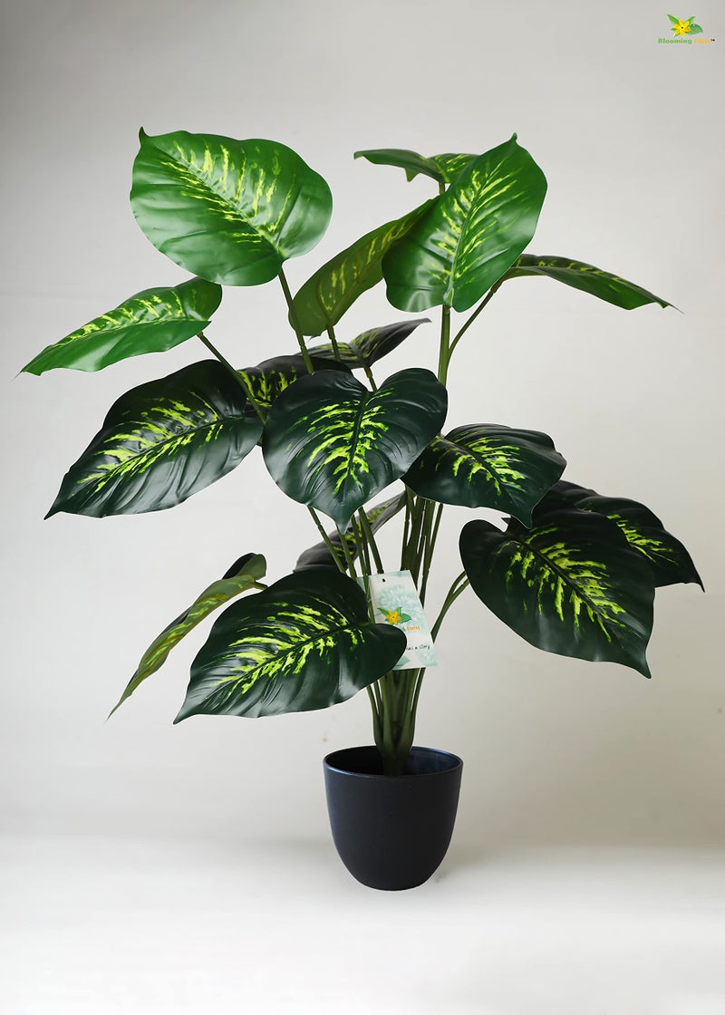 Blooming Floret Artificial Philodendron Plant with Basic Black Pot | 18 Green & Yellow Leaves | Big Ornamental Plant for Interior Decor/Home Decor/Office Decor | 63.5 cm Tall Natural Looking Plant - Image 1