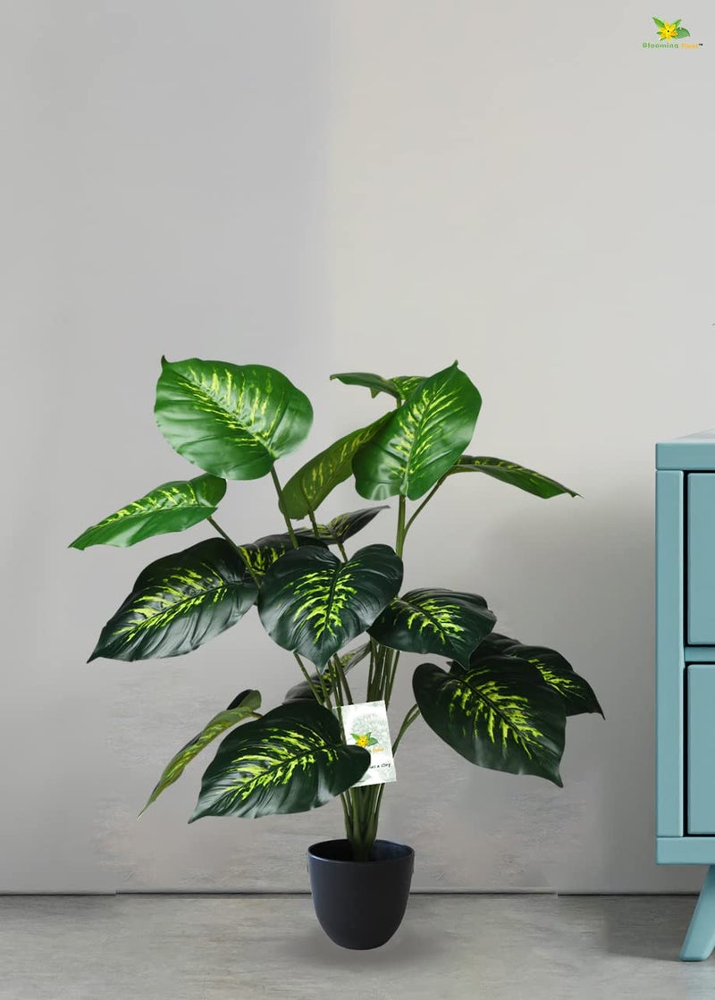 Blooming Floret Artificial Philodendron Plant with Basic Black Pot | 18 Green & Yellow Leaves | Big Ornamental Plant for Interior Decor/Home Decor/Office Decor | 63.5 cm Tall Natural Looking Plant - Image 5