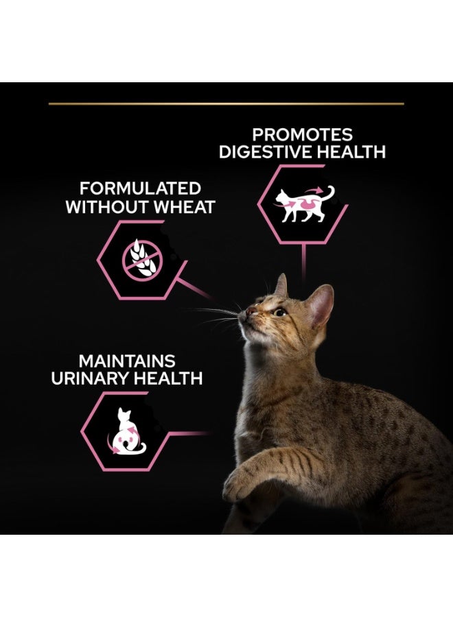 Sterilised Adult Delicate Digestion Dry Cat Food with Chicken, 10 kg
