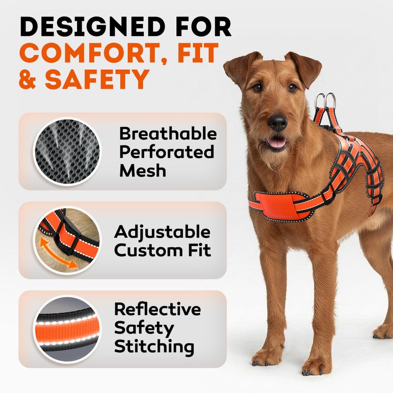 IWOOFI Dog Harness for Medium Dogs Back D-Ring Control No Choking Pressure-Free Chest Design Comfortable Padded Adjustable Reflective Vest Harness for Daily Walks Training Easy Control Outdoor Use Secure Fit - Image 3
