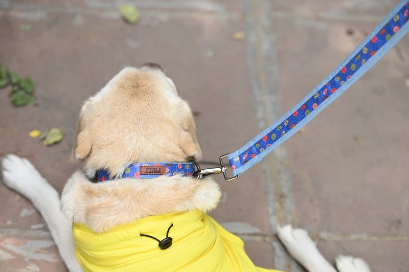 Mutt of Course Raining Donut Designer Dog Leash (Medium) - Image 4