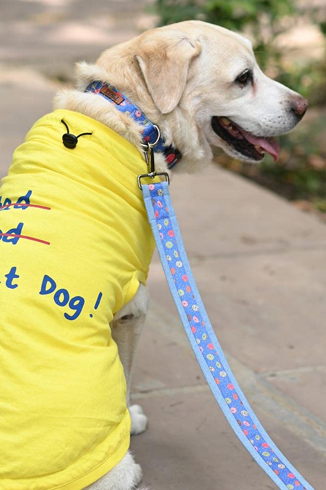Mutt of Course Raining Donut Designer Dog Leash (Medium) - Image 3