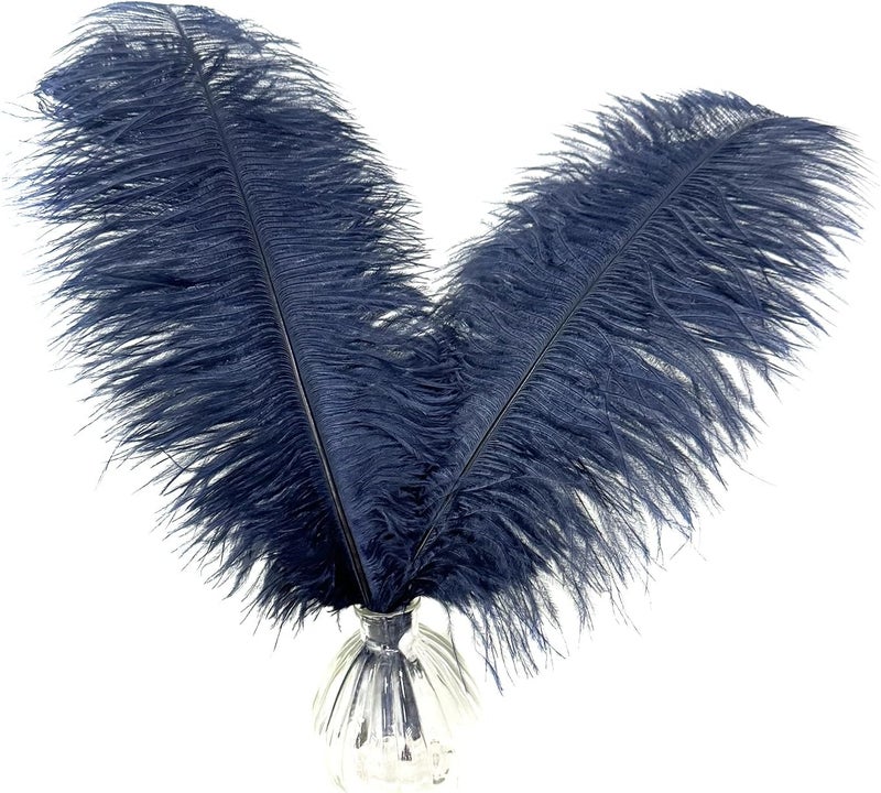 HAPPY FEATHER 16-18 inch Navy Blue Ostrich Feathers Craft for Wedding Party Centerpieces Home Decoration DIY Craft Pack of 10 - Image 1