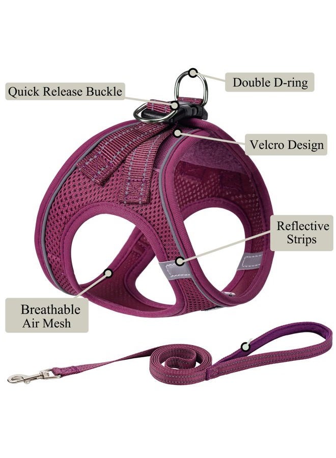 BOOMIBOO Dog Harness with Leash Set, No Pull Adjustable Reflective Step-in Puppy Pet Vest Harnesses for Small Medium Large Dogs and Cats,Cranberry XS - Image 2