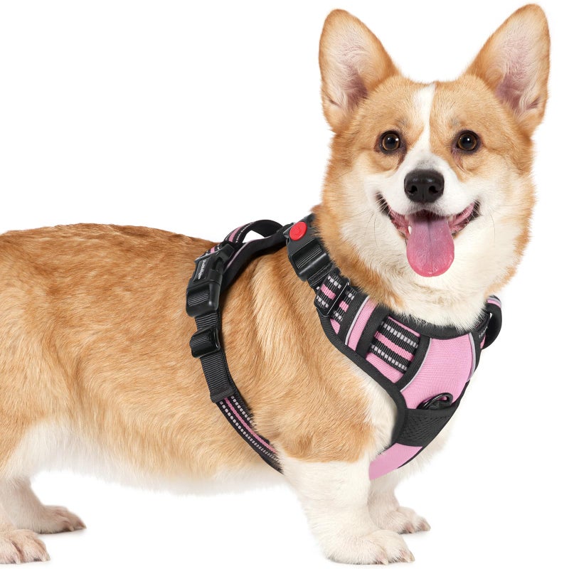 rabbitgoo Dog Harness Small Sized, No Pull Pet Harness with 3 Buckles, Adjustable Soft Padded Vest with Control Handle, Walking Reflective Pet Vest for Small Dogs, Pink, S - Image 1