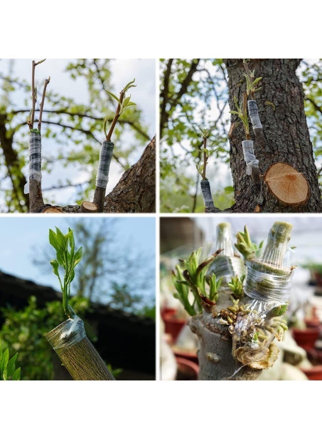 ChicAbode Grafting Tape, Stretchable Garden Grafting Tape, Plant Repair Tape, Harmless To Plants, Can Be Used for Flowers, Fruit Trees, Sprouts, Can Also Seal Other Items, 4 Rolls, 5 Cm Wide, Green - Image 5