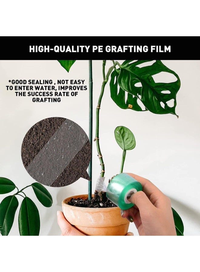 ChicAbode Grafting Tape, Stretchable Garden Grafting Tape, Plant Repair Tape, Harmless To Plants, Can Be Used for Flowers, Fruit Trees, Sprouts, Can Also Seal Other Items, 4 Rolls, 5 Cm Wide, Green - Image 2