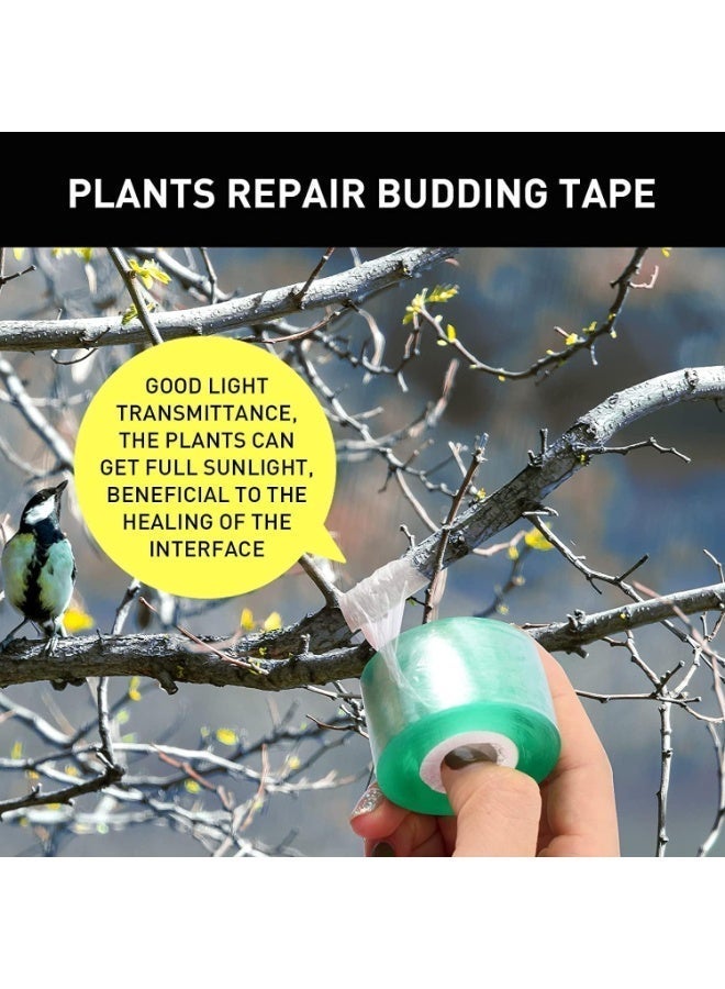 ChicAbode Grafting Tape, Stretchable Garden Grafting Tape, Plant Repair Tape, Harmless To Plants, Can Be Used for Flowers, Fruit Trees, Sprouts, Can Also Seal Other Items, 4 Rolls, 5 Cm Wide, Green - Image 3