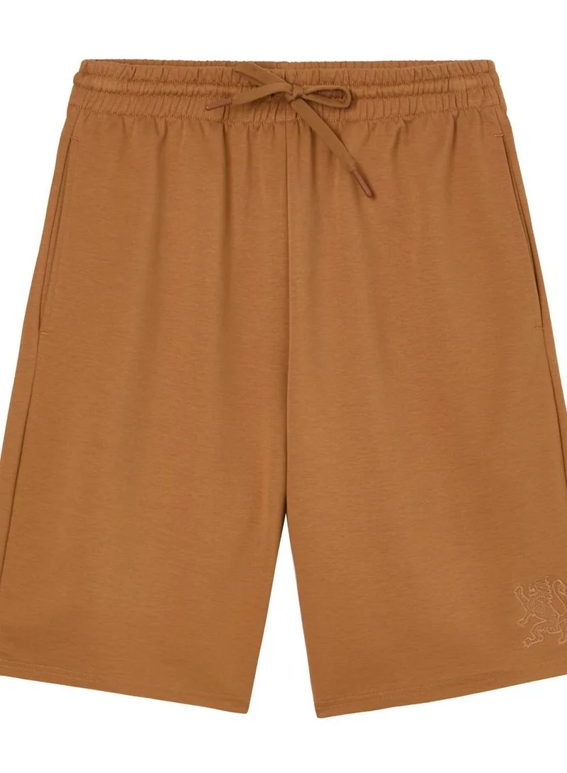 Men Regular Interlock Embroidery Shorts