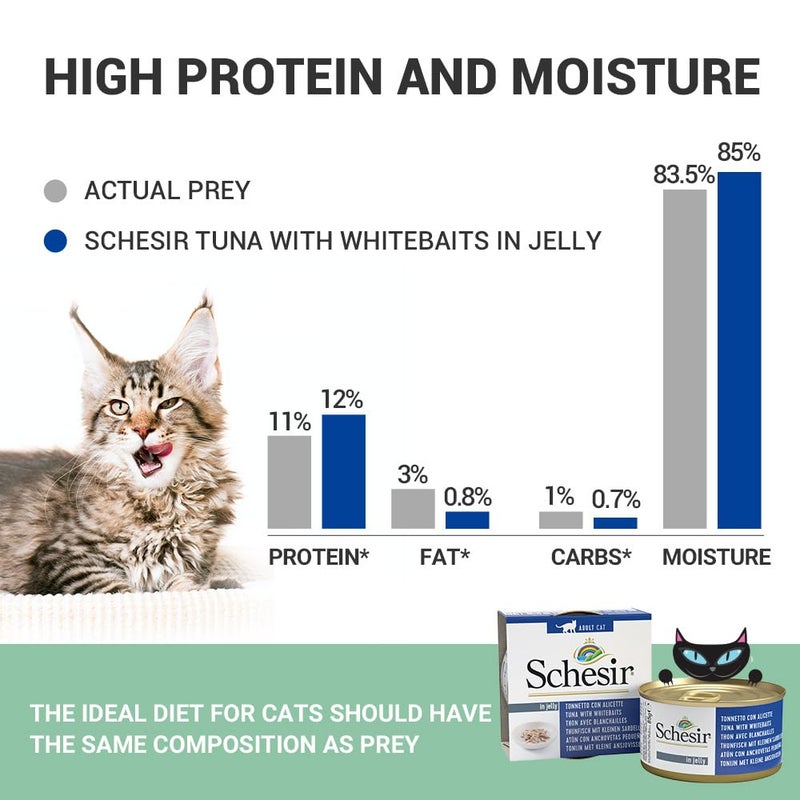 Schesir Tuna in Jelly with Whitebaits - 85g Premium Wet Cat Food Natural Tuna & Whole Whitebaits High-Protein & Omega-Rich for Adult Cats Supports Skin, Coat & Digestion (Pack of 2) - Image 5