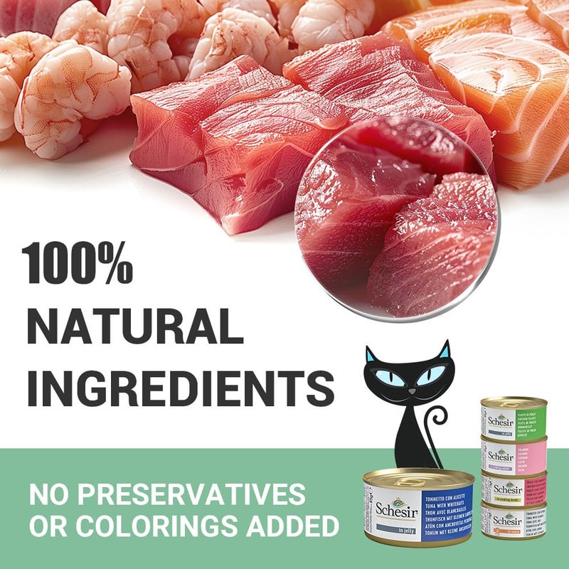 Schesir Tuna in Jelly with Whitebaits - 85g Premium Wet Cat Food Natural Tuna & Whole Whitebaits High-Protein & Omega-Rich for Adult Cats Supports Skin, Coat & Digestion (Pack of 2) - Image 4