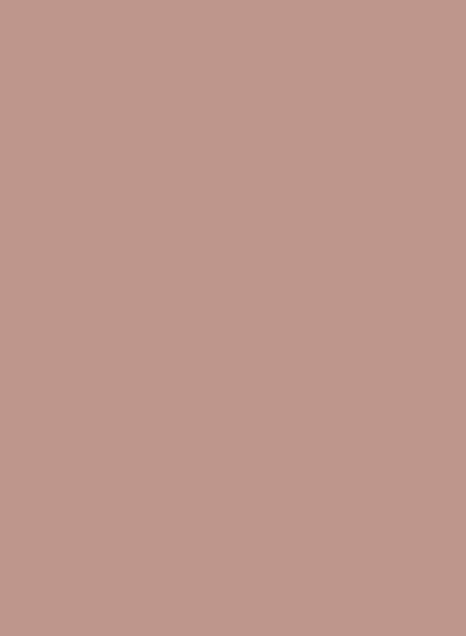 Jazeera Paints Interior Wall Paint Silk (Color: Tan ) 3 Liters - Image 3