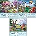 Bits and Pieces Value Set of Three 3 300 Piece Jigsaw Puzzles for Adults Large Piece 300 pc Colorful Nature Jigsaws Bundle by Artist Iris Sage 18 x 24 - Image 2