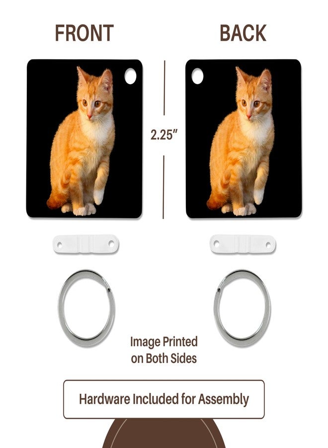 3dRose, Funny Red Cat Pet Kitten with Black Background, set of 2 Key Chains - Image 5
