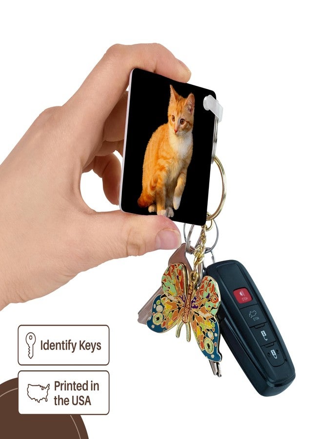 3dRose, Funny Red Cat Pet Kitten with Black Background, set of 2 Key Chains - Image 3