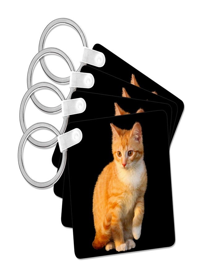 3dRose, Funny Red Cat Pet Kitten with Black Background, set of 2 Key Chains - Image 1