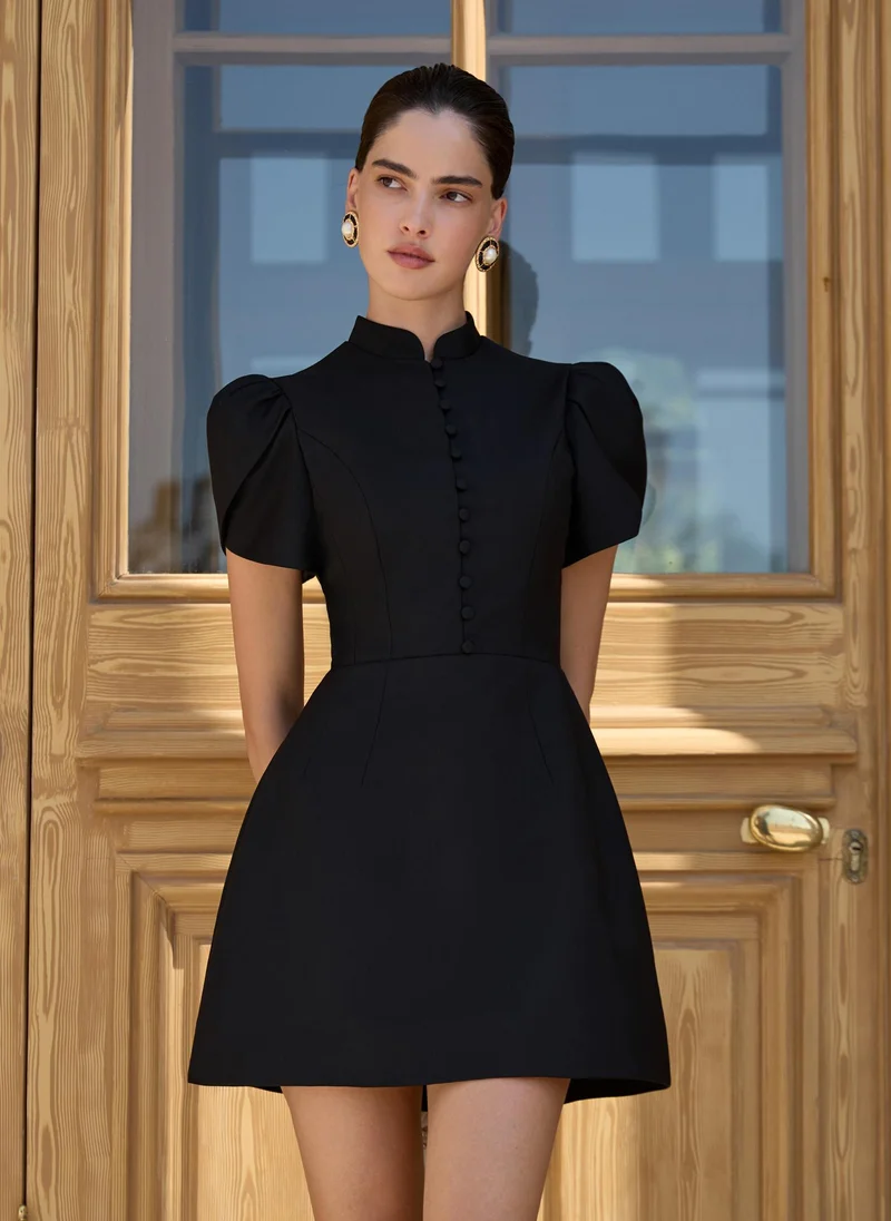 Lichi Mini dress with high collar and button fastening