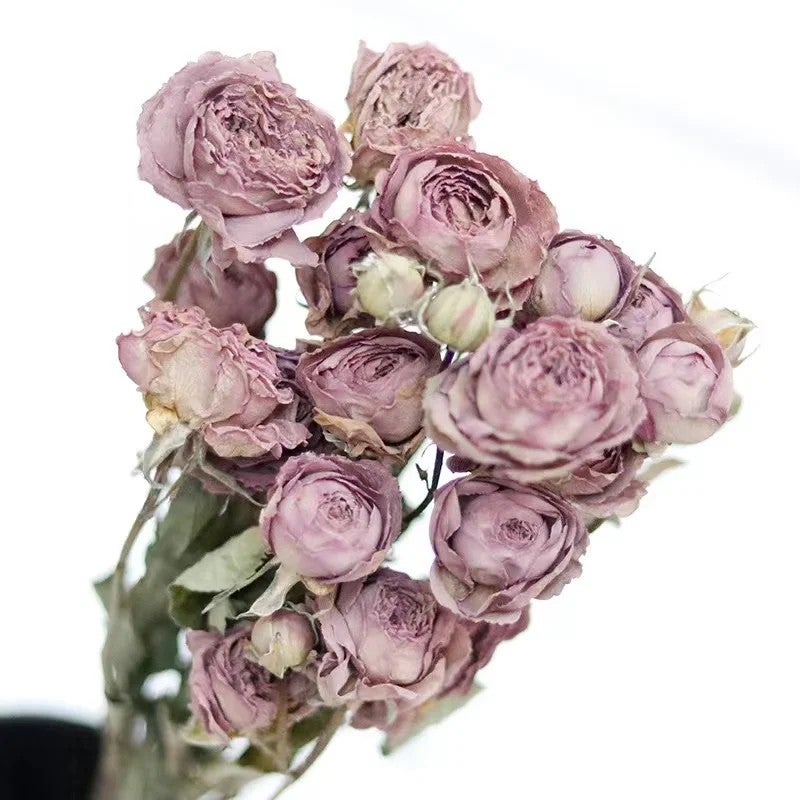 Bluejw Natural Dried Roses Bouquet - Grade A Dry Flower Arrangement for Wedding Home Decor - Long Lasting Dried Plants - Image 1