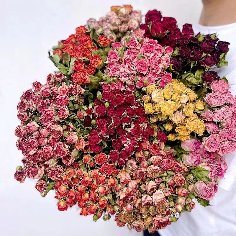 Bluejw Natural Dried Roses Bouquet - Grade A Dry Flower Arrangement for Wedding Home Decor - Long Lasting Dried Plants - Image 4