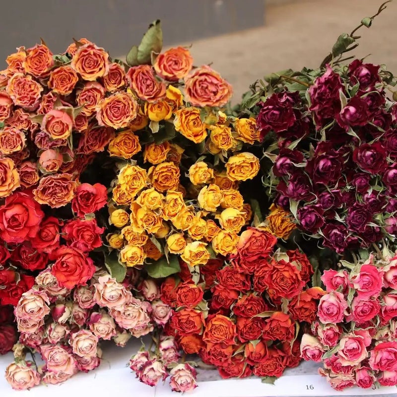 Bluejw Natural Dried Roses Bouquet - Grade A Dry Flower Arrangement for Wedding Home Decor - Long Lasting Dried Plants - Image 3