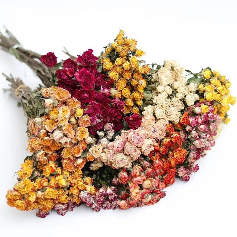 Bluejw Natural Dried Roses Bouquet - Grade A Dry Flower Arrangement for Wedding Home Decor - Long Lasting Dried Plants - Image 2