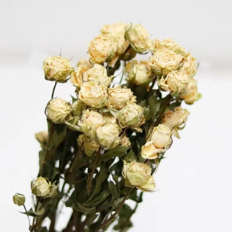 Bluejw Natural Dried Roses Bouquet - Grade A Dry Flower Arrangement for Wedding Home Decor - Long Lasting Dried Plants - Image 5