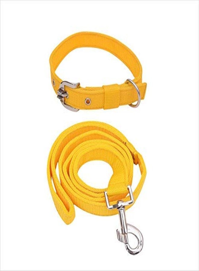 D&C PAWS حزام D&C PAWS أصفر اللون بتصميم مميز، مقاس نصف بوصة، مناسب للجراء والقطط والكلاب الصغيرة. عبوة من طوق ومقود. - Image 1
