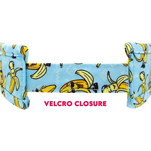 Sprints Performance Running Visor (Bananas) - Image 3