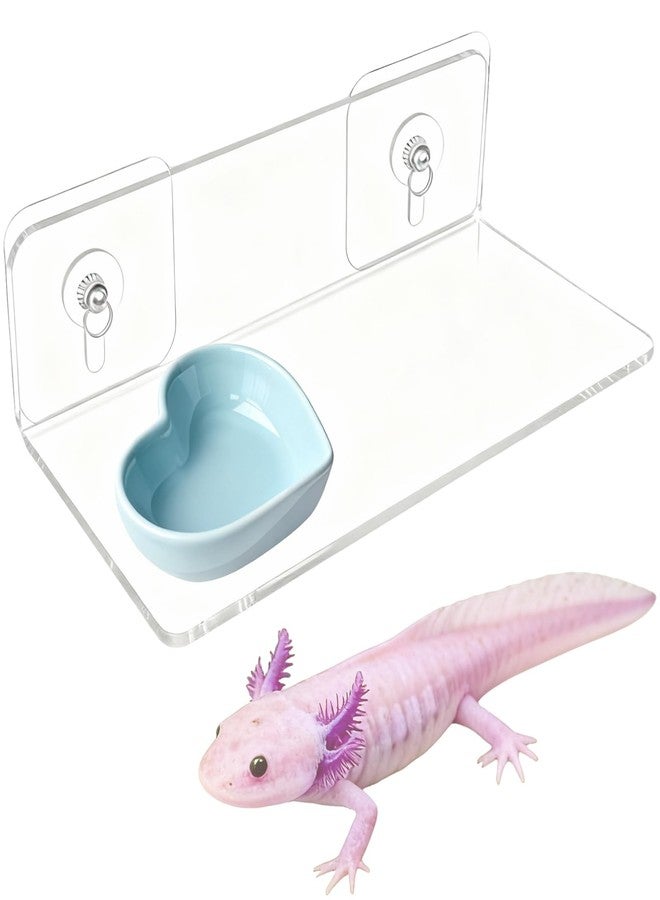 Anranmm Axolotl Feeding Shelf with Feeder Bowl, Axolotl Hammock for Aquarium with Feeding Tray, Axolotl Tank Accessories for Bearded Dragons, Geckos, Lizards, Hamsters, Crabs - Image 1