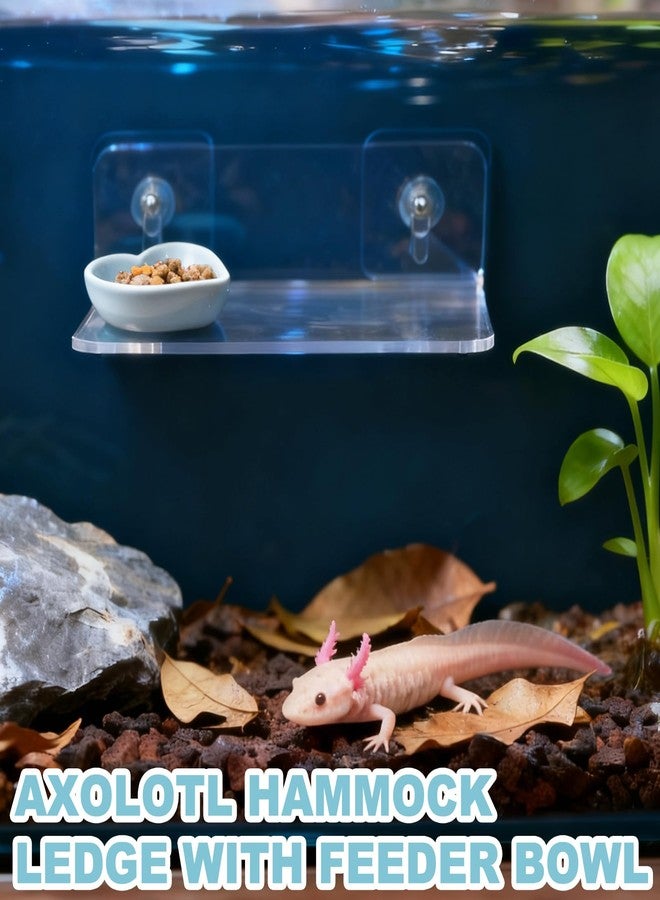 Anranmm Axolotl Feeding Shelf with Feeder Bowl, Axolotl Hammock for Aquarium with Feeding Tray, Axolotl Tank Accessories for Bearded Dragons, Geckos, Lizards, Hamsters, Crabs - Image 3