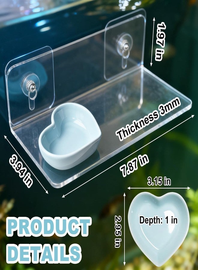 Anranmm Axolotl Feeding Shelf with Feeder Bowl, Axolotl Hammock for Aquarium with Feeding Tray, Axolotl Tank Accessories for Bearded Dragons, Geckos, Lizards, Hamsters, Crabs - Image 4