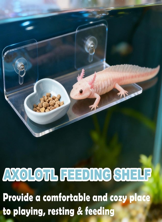 Anranmm Axolotl Feeding Shelf with Feeder Bowl, Axolotl Hammock for Aquarium with Feeding Tray, Axolotl Tank Accessories for Bearded Dragons, Geckos, Lizards, Hamsters, Crabs - Image 2