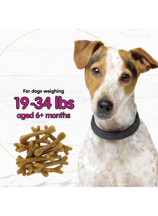 Fido Belly Bones for Dogs, 13 Yogurt Flavor Small Dog Dental Treats (Made in USA) - 13 Count Dog Treats for Small Dogs - Plaque and Tartar Control for Fresh Breath, Digestive Health Support - Image 5