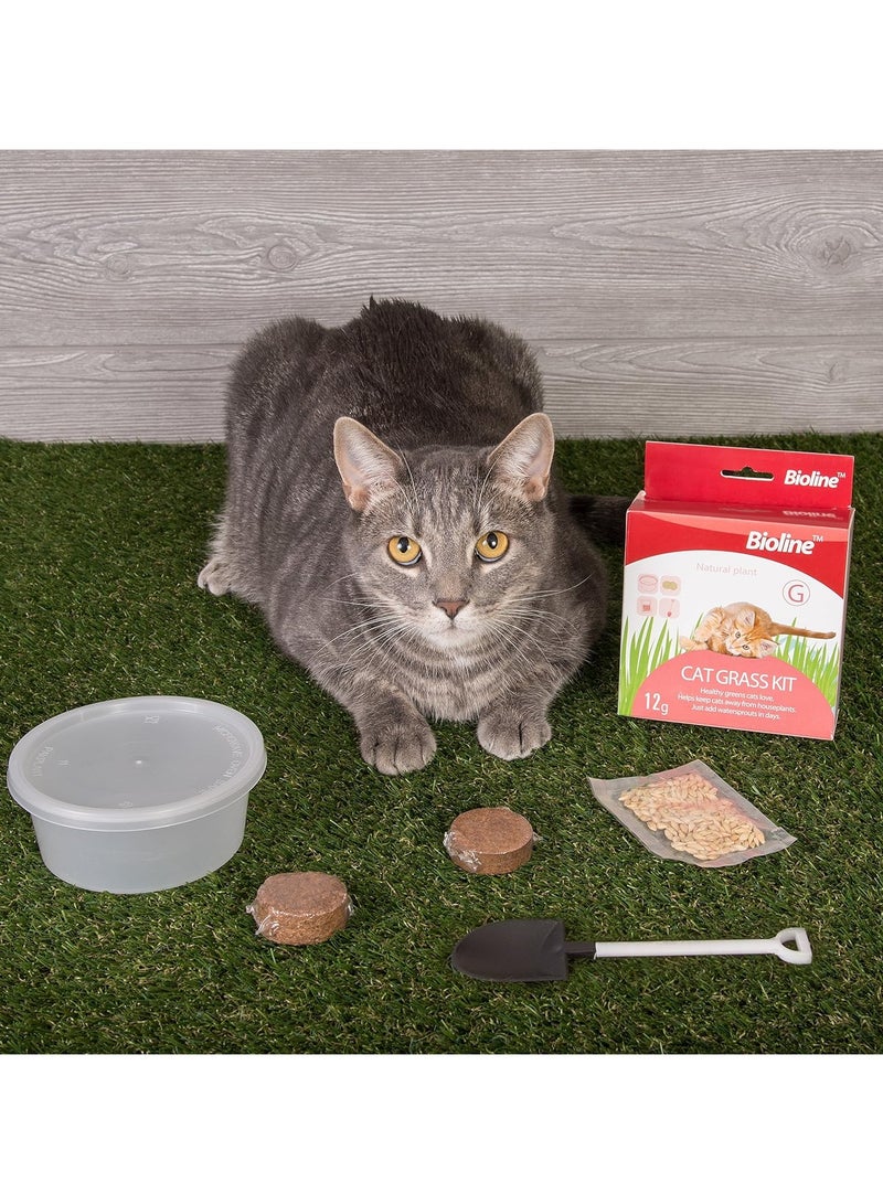 بايولاين مجموعة عشب القطط من بيولاين 12 جرام - Image 4