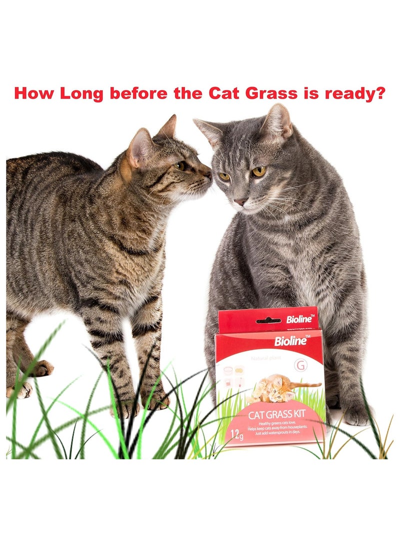 بايولاين مجموعة عشب القطط من بيولاين 12 جرام - Image 2