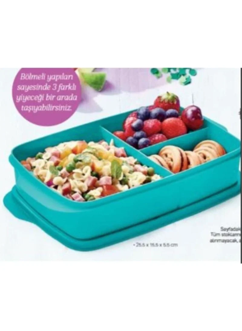 Tupperware 1 Lt Divided Nutrition Container (Tight Lid)
