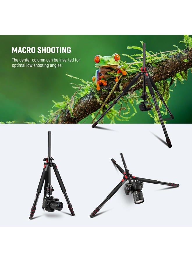 Neewer 79 inch Camera Tripod Monopod with Center Column and Ball Head Aluminum, Arca Type QR Plate, Bag, Horizontal Tripod Overhead Camera Mount for DSLR Camera, Video Camcorder, Max Load: 33lb - Image 5