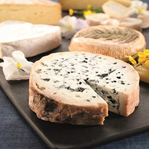 Mutochy 5pcs Cheese draining/ripening mat 8’’Cheese Drying Mats Cheesemaking equipment Cheese making at home (8'') - Image 5