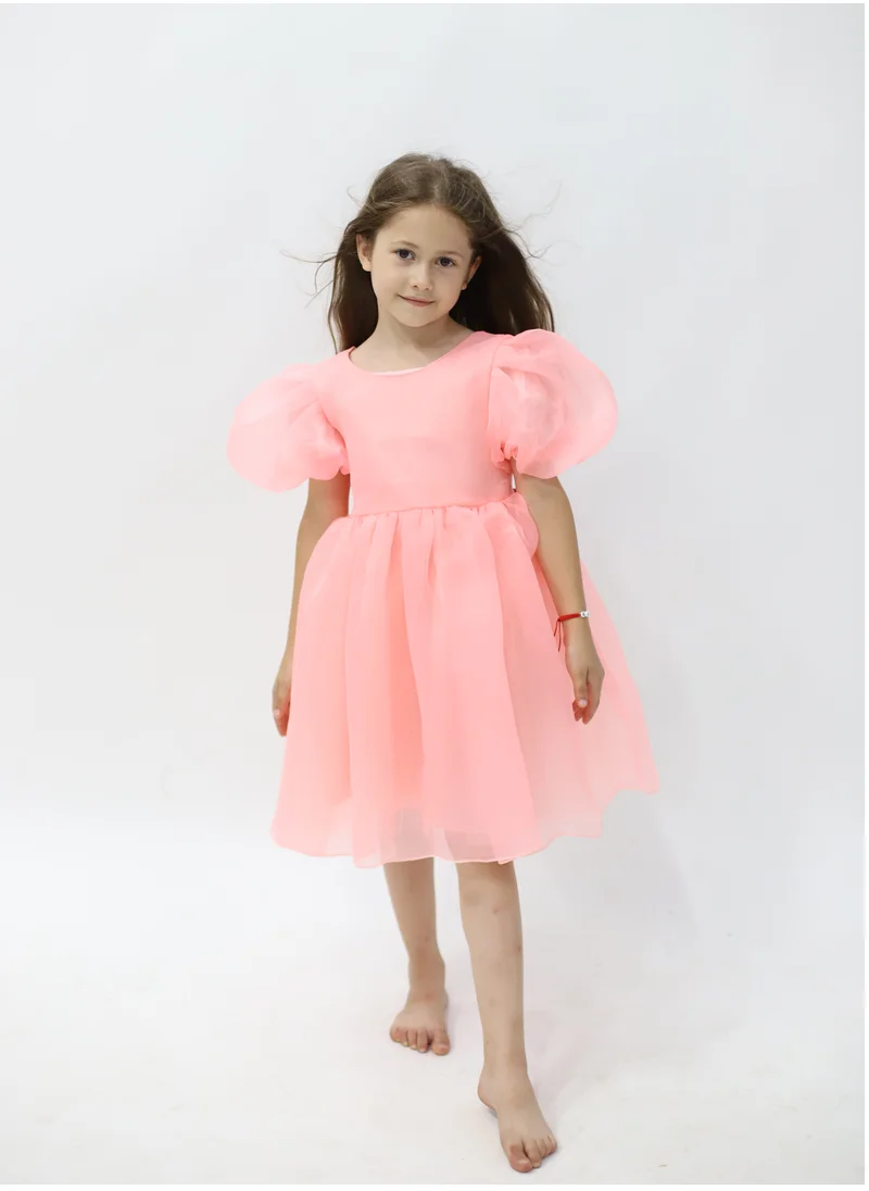 دىدانيالا Tulle Volume Dress Pink with Green Bow