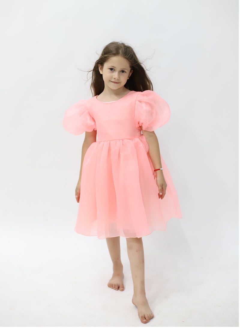 D'Daniela Organza Puffed Sleeve Dress - Image 1