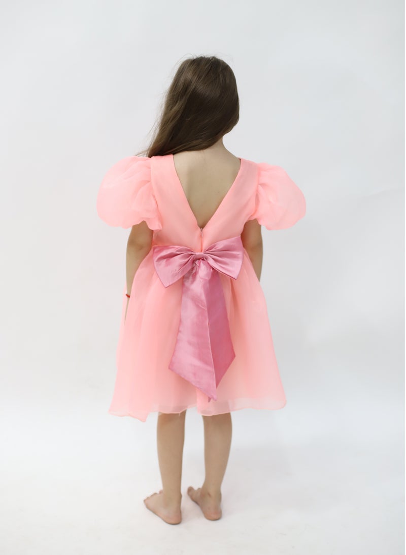 D'Daniela Organza Puffed Sleeve Dress - Image 5