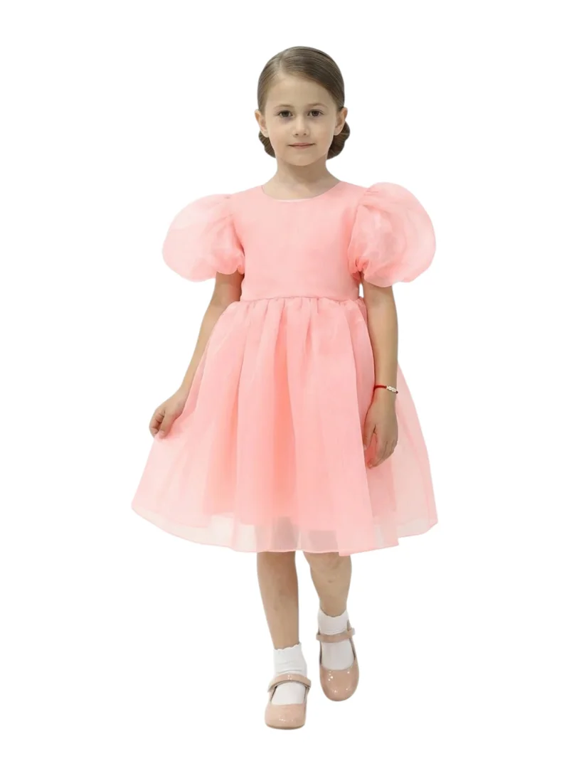 دىدانيالا فستان بأكمام منفوشة من الأورجانزا